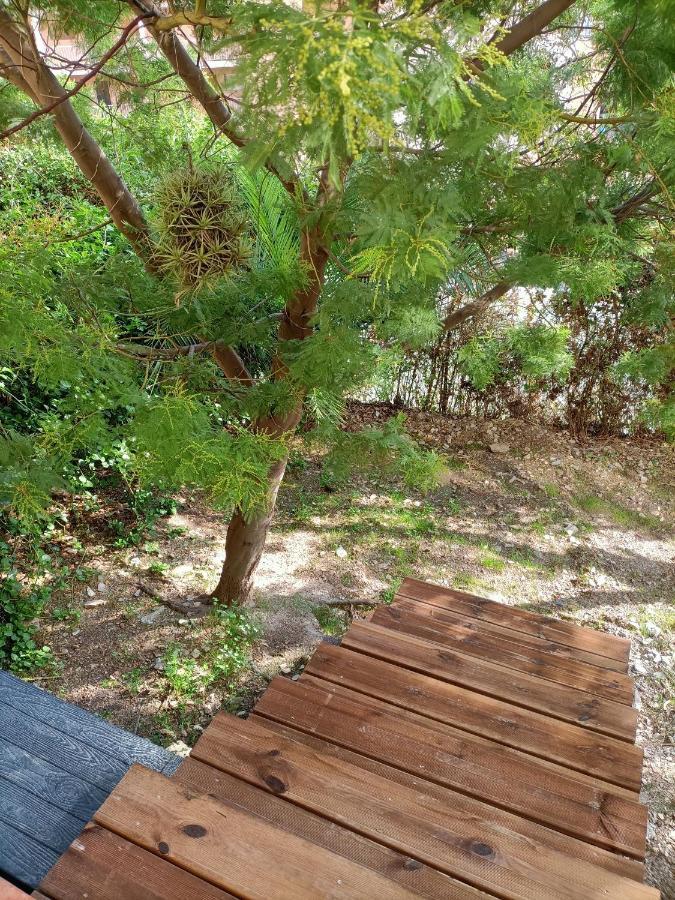 Appartement Proche Mer Avec Terrasse Et Jardin Privatif Hyères Kültér fotó